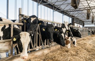 Pleidooi voor belastingvoordeel op duurzaamheidsinvestering