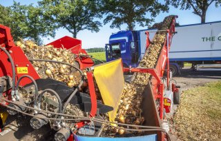 Nieuwe handelsvoorwaarden voor uien