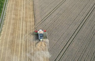 Broodje gezond kost aanzienlijk minder landbouwgrond dan 75 jaar geleden