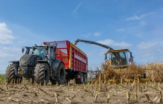 Eerst mais van 2025 gehakseld: 'Hier leef je het hele jaar naar toe'