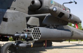 Koe legt loodje na luchtmachtoefening laagvliegen