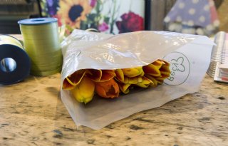 Sierteelt- en voedselverpakker Paardekooper failliet