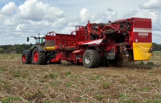 Alleen aardappelen van topkwaliteit zullen toegang vinden tot de markt