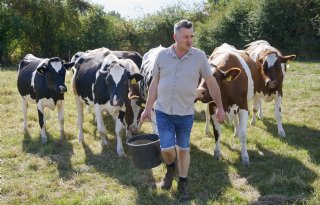 'Koe in partjes betalen geeft iets meer rust'