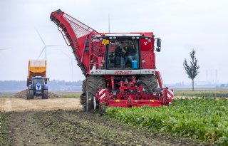 Loonwerker rooit eerste bieten van 2025: 'Dit is extreem vroeg'