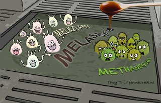 Mest aanzuren aantrekkelijk met vergisting