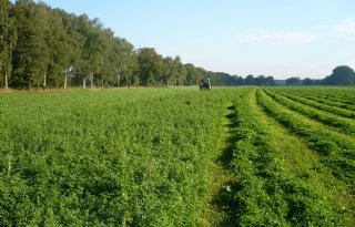'Agrarisch natuurbeheer biedt veel kansen voor boeren'