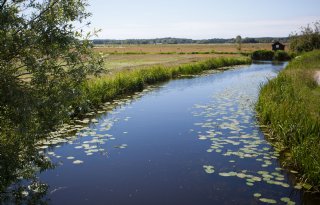 Waterschap stopt dinoterb-metingen: stof niet in oppervlaktewater