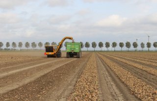 Vlotte export zorgt voor prijshoudende uienmarkt