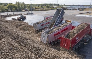 Eerste bieten bevatten maar liefst 17 procent suiker