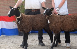 Nationale Zwartbleskeuring goed moment om kwaliteit te meten