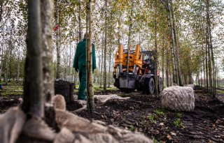 Nieuwe opleiding Medewerker Boomkwekerij in West-Brabant