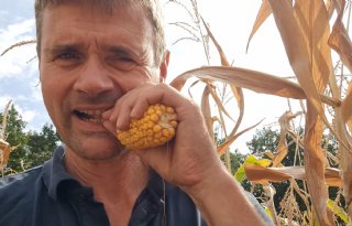 Oekraïne-vlogger Kees Huizinga: 'Binnenkort mais combinen?'