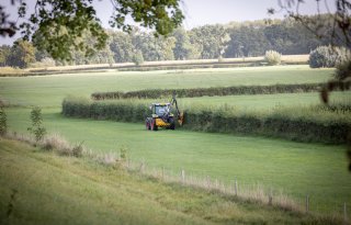 Boerenorganisaties luiden noodklok over Gelders stikstofbeleid