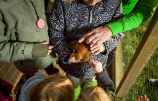 Negatief advies gastouderschap bij veehouderijen in Ede leidt tot verbazing