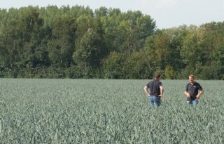 Met roofwants en bankerplant trips te lijf gaan