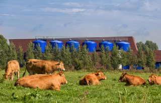 Massaclaim 1.200 boeren over droogteschade door drinkwaterwinning