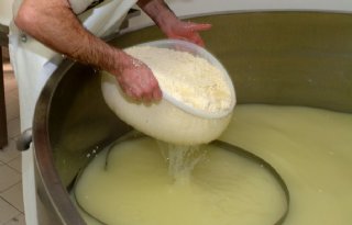 Milcobel en NoPalm starten samenwerking voor duurzame oliën