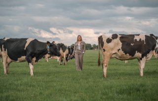 'Het is belangrijk dat jongeren worden gerepresenteerd'