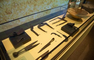 Tentoonstelling over het boerenleven in Romeins Limburg