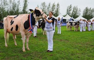 Familie Bons domineert Fokveedag Boerenlandfeest in Hoornaar