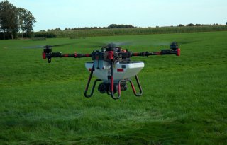 Klaver doorzaaien met drone in grasland