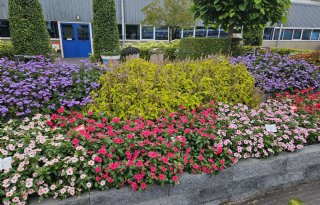 Florensis haakt in op ambitie van tuincentra