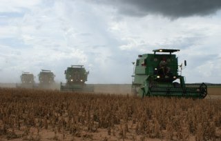 Nieuwe EU-wetgeving zware dobber voor mengvoergrondstoffen