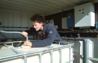 Restwater van groenteverwerker is uitkomst voor Zeeuwse akkerbouwer