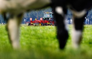 Laatste snede gras is mooi product voor de pinken