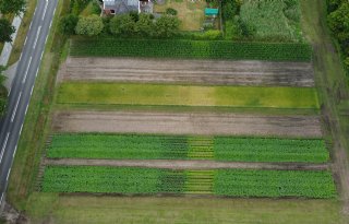 Dronecamera ziet voedingsgebrek in gewassen