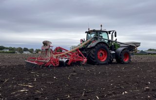 Hakselaars maken laatste rondjes over de maispercelen