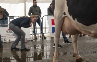 'Je kunt bij NK Veebeoordelen met jury discussiëren, daar leer je van'