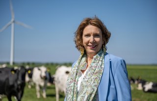 'Diertransport? Liever praktisch beleid dan door emotie gedreven regels'