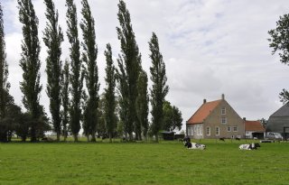 Ruimte voor ondernemers en vrijwilligheid centraal in Zeeuws stikstofplan