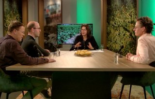 Innovatie en veredeling houden Nederlands pootgoed aan de wereldtop