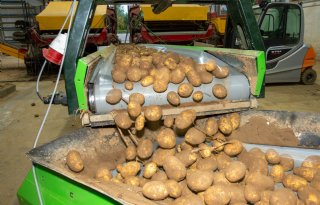 Ook buitenland heeft minder interesse in Nederlandse aardappelen