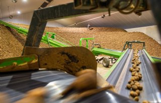 Belgische aardappelvoorraad op hoogste niveau in vijf jaar