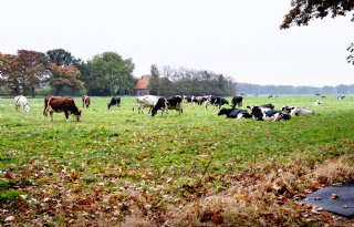 Noord-Brabant stap verder in gebiedsgerichte aanpak