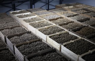 Drie bedrijven lanceren eigen ethyleenconcept voor pootgoedbewaring