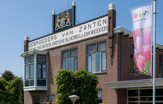 Bloembollentak Royal Van Zanten stopt na 164 jaar