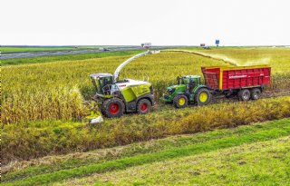 Laatste mais van het land, ook bij Maismeetnet-deelnemers