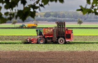 Suikermarkt zwaar onder druk: 'Vooruitzichten niet gunstig'