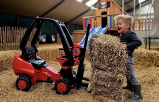 Leukste boerderijuitje van Nederland te vinden bij varkenshouderij in Drenthe