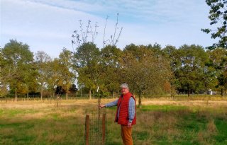 'Er is nu veel meer biodiversiteit in mijn buitenomgeving'