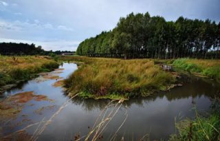 Vier nieuwe projecten starten in Weerterland