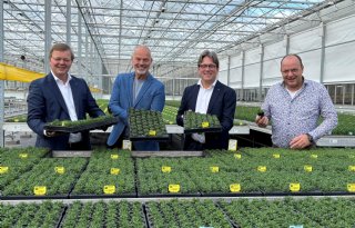 Schneider Youngplants maakt doorstart na faillissement
