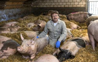 Hoofddocent Varkensgezond Arie van Nes: 'De echte uitdaging is gedrag veranderen'