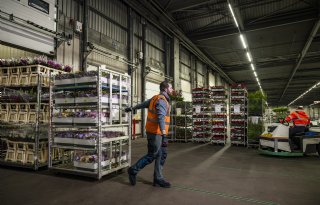 FloraHolland ziet certificering als standaardvoorwaarde