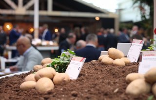 'Het was een pootgoedjaar volgens het boekje'